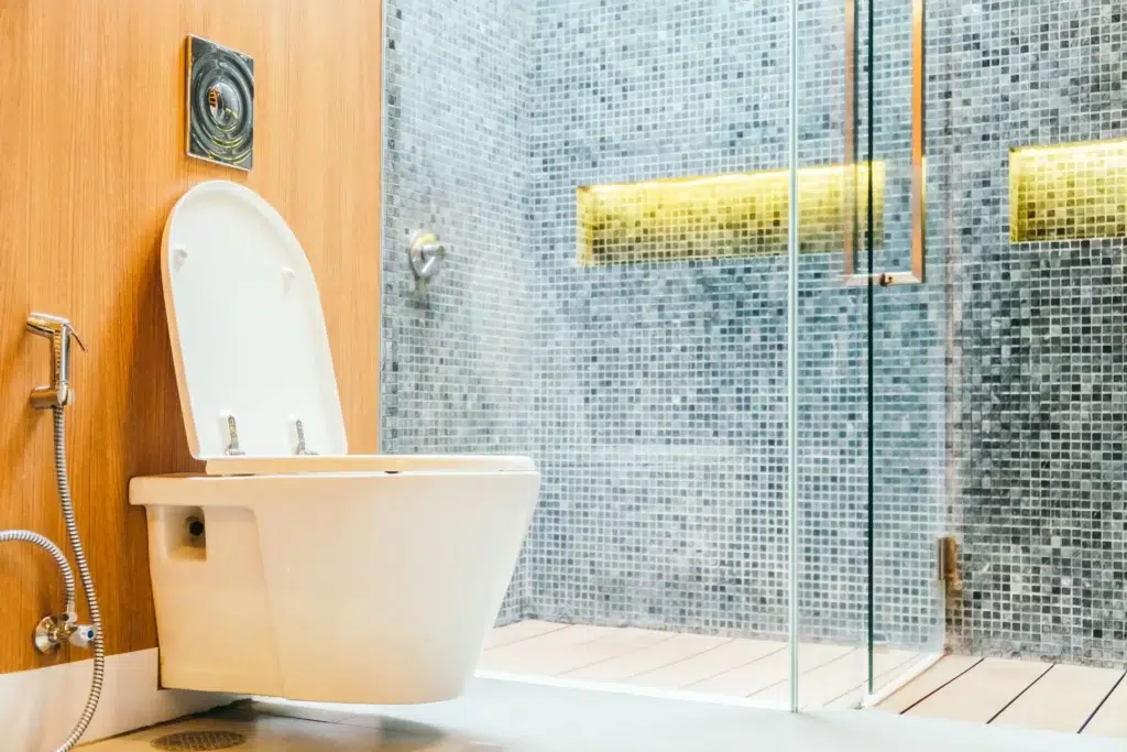 luxurious toilet design 5